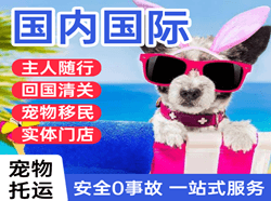 沈阳桃仙机场货运国际宠物托运 【国